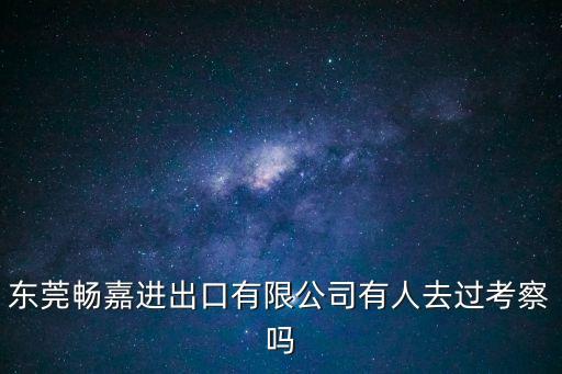 東莞暢嘉進(jìn)出口有限公司有人去過考察嗎