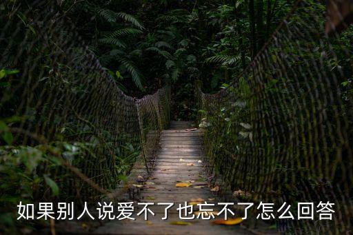 如果別人說(shuō)愛(ài)不了也忘不了怎么回答