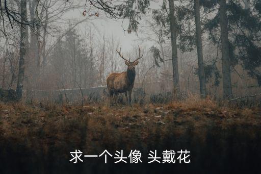 求一個頭像 頭戴花