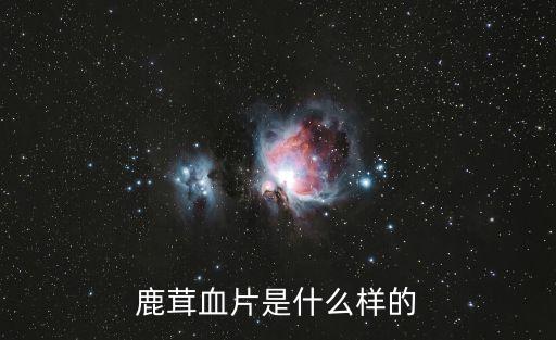 鹿茸血片是什么樣的
