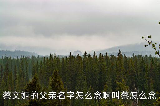 蔡文姬的父親名字怎么念啊叫蔡怎么念