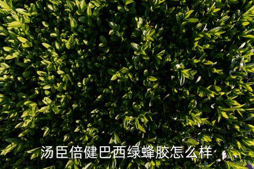 湯臣倍健巴西綠蜂膠怎么樣