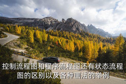 控制流程圖和程序流程圖還有狀態(tài)流程圖的區(qū)別以及各種畫法的舉例