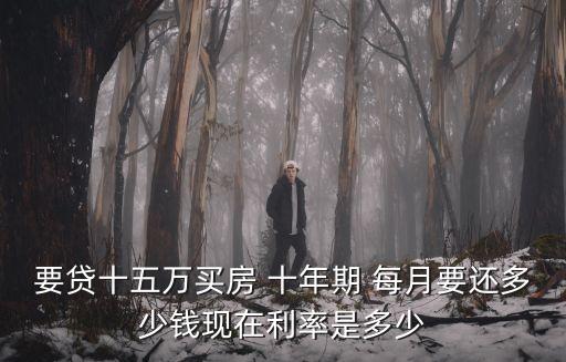 要貸十五萬買房 十年期 每月要還多少錢現在利率是多少