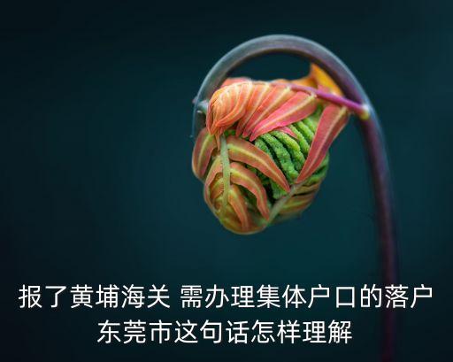 報了黃埔海關 需辦理集體戶口的落戶東莞市這句話怎樣理解
