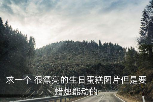 求一個(gè) 很漂亮的生日蛋糕圖片但是要蠟燭能動(dòng)的