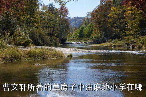 油麻地小學(xué)，草房子因?yàn)檎l來到油麻地小學(xué)桑桑變得愛干凈