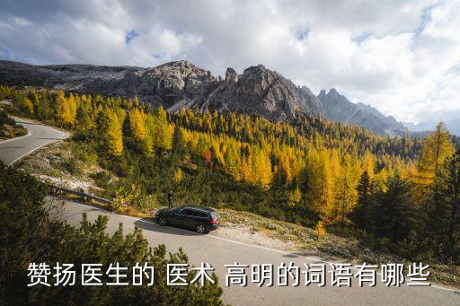 贊揚醫(yī)生的 醫(yī)術 高明的詞語有哪些