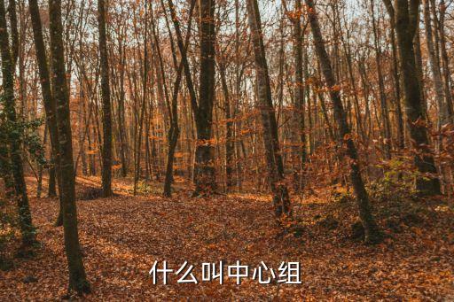 什么叫中心組