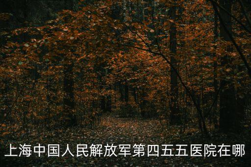 上海中國人民解放軍第四五五醫(yī)院在哪