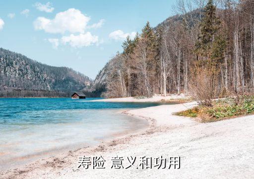 壽險的功能與意義,壽險意義功能簡介