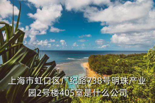 上海市虹口區廣紀路738號明珠產業園2號樓405室是什么公司