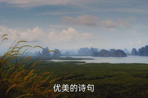 好詩句大全唯美，優美的詩句