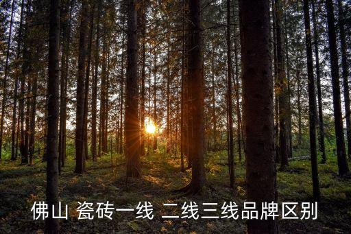 佛山 瓷磚一線 二線三線品牌區(qū)別