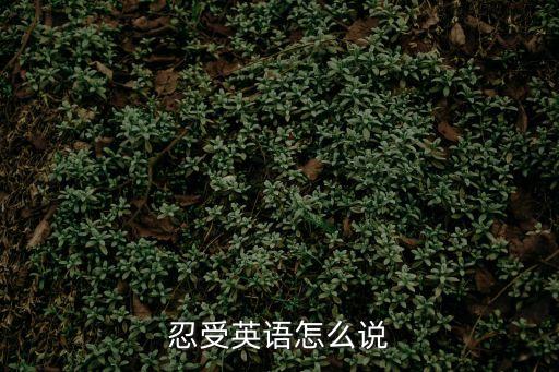 忍受用英語怎么說，忍受英語怎么說