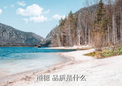 道德 品質(zhì)是什么