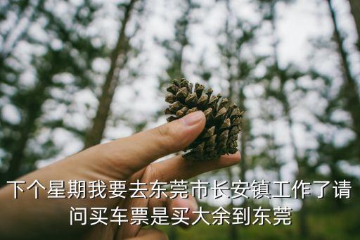 下個(gè)星期我要去東莞市長(zhǎng)安鎮(zhèn)工作了請(qǐng)問買車票是買大余到東莞