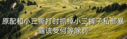 東莞扒小三褲子視頻，實拍原配當街暴打小三撕爛內衣發生在哪里呀 口音像是四川的