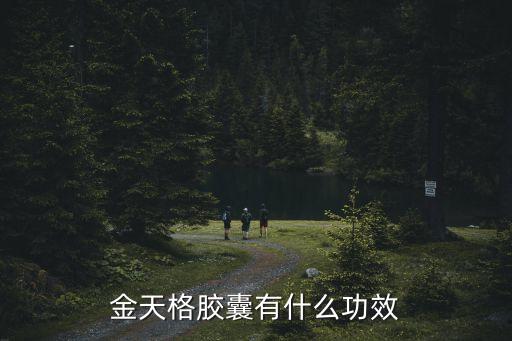 金天格，金天格膠囊