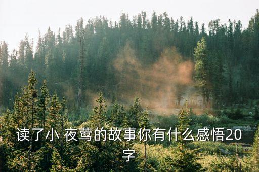 讀了小 夜鶯的故事你有什么感悟20字