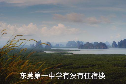 東莞中學(xué)需要住宿嗎，東莞公立初中是寄宿還是走讀
