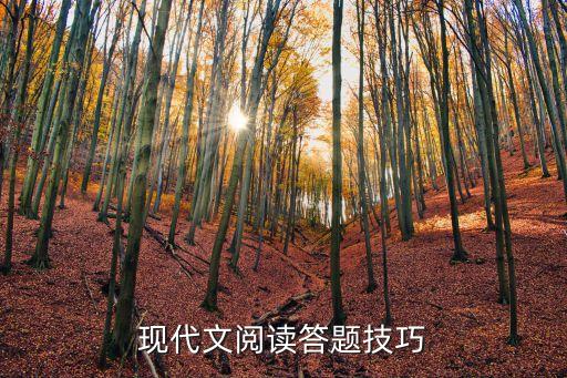 現代文閱讀答題技巧