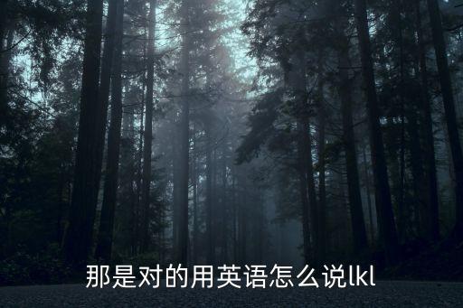 那是對的用英語怎么說lkl