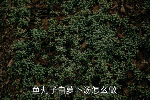 魚丸子白蘿卜湯怎么做