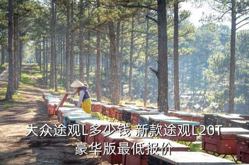 大眾途觀L多少錢 新款途觀L20T豪華版最低報價