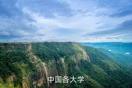 中國各大學
