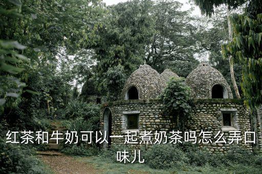 紅茶和牛奶可以一起煮奶茶嗎怎么弄口味兒