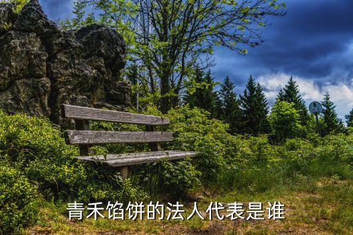 東莞禾田食品法人代表，與公司法人有關(guān)
