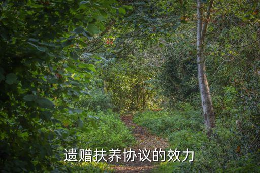 遺贈扶養(yǎng)協(xié)議的效力