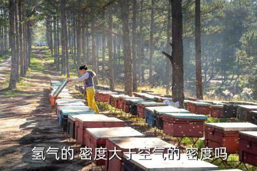  氫氣的 密度大于空氣的 密度嗎