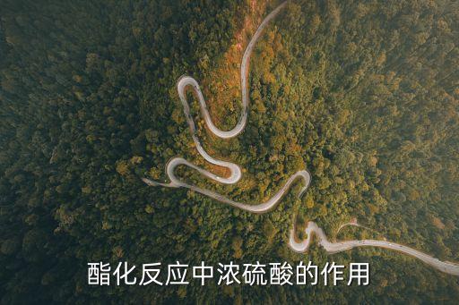 酯化反應中濃硫酸的作用