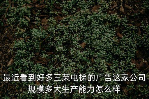 最近看到好多三榮電梯的廣告這家公司規模多大生產能力怎么樣