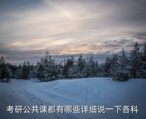 考研公共課都有哪些詳細說一下各科