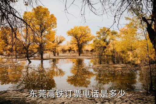 東莞到九江的高鐵時刻表查詢電話，東莞高鐵訂票電話是多少