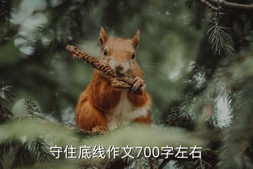守住底線，守住底線作文700字左右