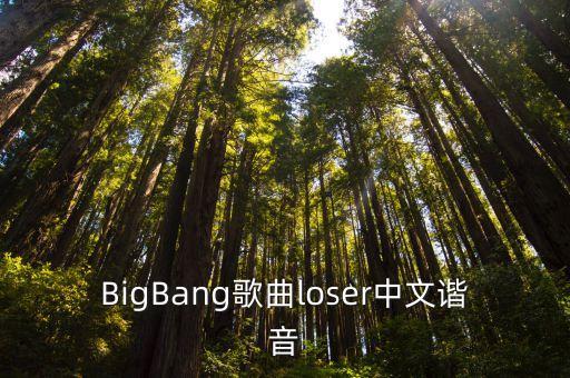 BigBang歌曲loser中文諧音