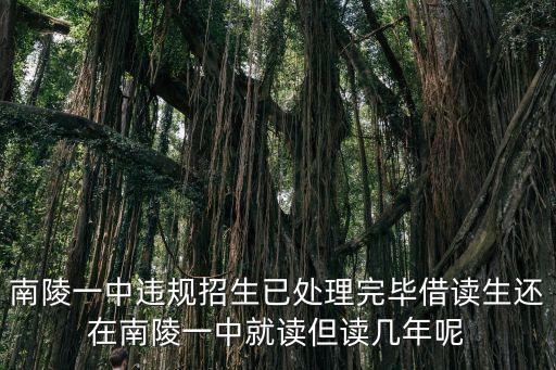 南陵一中違規招生已處理完畢借讀生還在南陵一中就讀但讀幾年呢