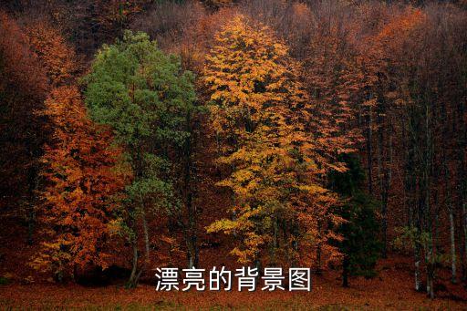 漂亮的背景圖