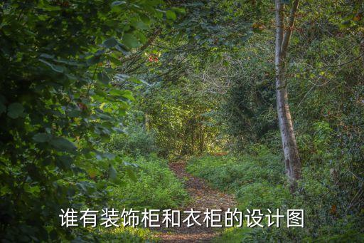 誰有裝飾柜和衣柜的設(shè)計圖