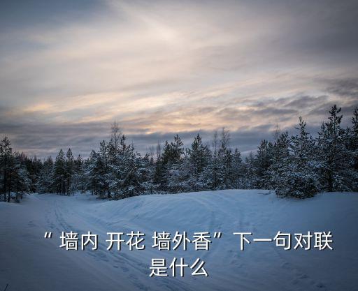墻內(nèi)開花墻外香,墻內(nèi)開花墻外香四個字!