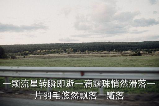一顆流星轉瞬即逝一滴露珠悄然滑落一片羽毛悠然飄落一瓣落