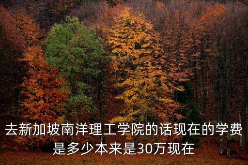 南洋理工大學(xué)學(xué)費(fèi)，廣州南洋理工學(xué)院要多少錢