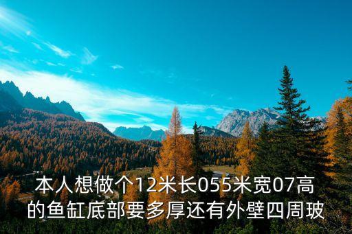 本人想做個(gè)12米長(zhǎng)055米寬07高的魚(yú)缸底部要多厚還有外壁四周玻