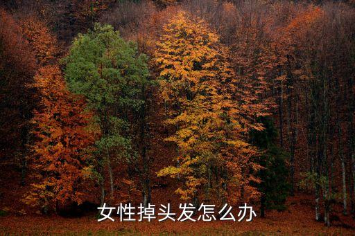 女性掉頭發(fā)怎么辦