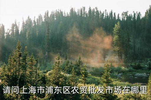 上海市浦東糧倉，上海市浦東新區糧管所在哪