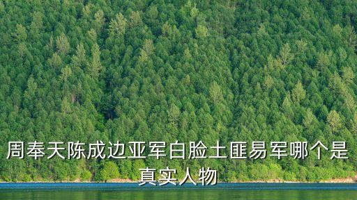 周奉天陳成邊亞軍白臉土匪易軍哪個是真實人物